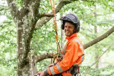 Arborist Höör Hörby Eslöv – Skåne